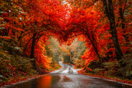 A tranquil woodland pathway shaded by fiery crimson and golden leaves, evoking peace and seasonal transition through natural beauty.の写真素材