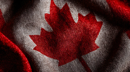 A detailed view of woven fabric featuring a vibrant red maple leaf, symbolizing national pride...