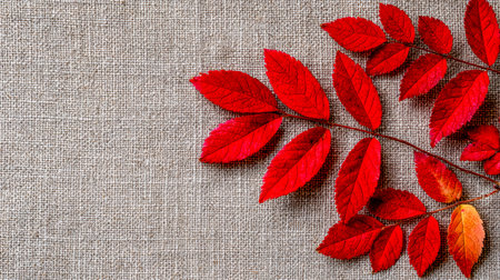 A vivid collection of crimson autumn foliage artfully displayed against a subtly textured beige...
