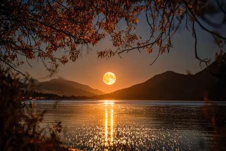 A serene night scene where the luminous moon ascends, casting golden ripples across still lake waters, framed by russet leaves and distant silhouettes beneath a starry sky.の写真素材