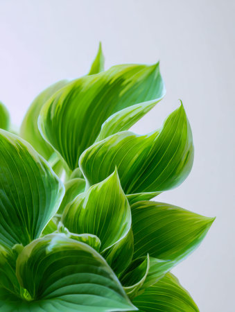 Lush, vivid green foliage with silky surfaces and flowing contours set against a subtle backdrop,...