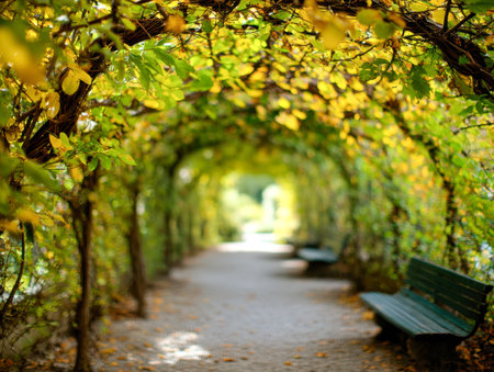 A tranquil garden path shaded by a vibrant canopy of greenery and gold-toned foliage, inviting moments of calm on rustic benches bathed in gentle autumn light.の写真素材