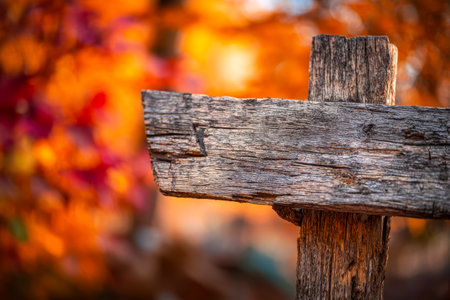 Weathered timber marker set amidst a burst of colorful fall leaves, evoking a cozy, countryside charm perfect for travel or seasonal themesの写真素材