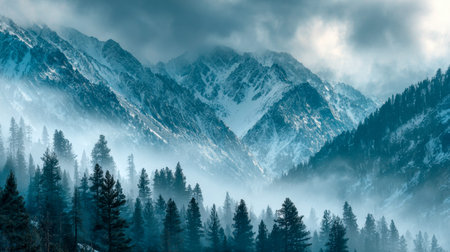 A dense, fog-blanketed forest of towering conifers hides the landscape, with jagged snow-covered...