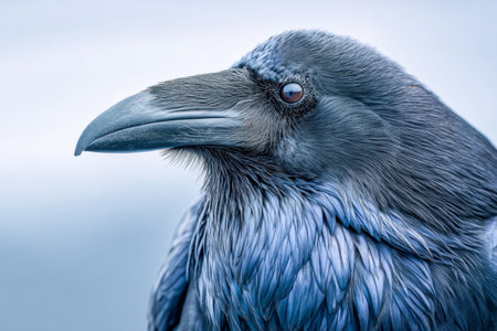 A vivid, detailed capture of a bird showing captivating blue and gray plumage, its sizable beak and intricate feather patterns highlighting natural elegance.の写真素材
