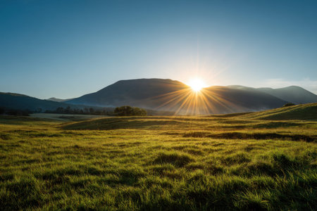 Early morning light baths vibrant grasses and gentle hills, creating tranquil shadows in a pristine landscape under a crisp, blue sky.の写真素材