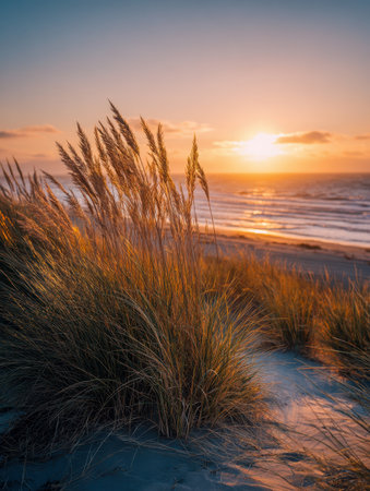 A serene coastline bathed in a luminous amber glow as delicate grasses ripple over dunes, with tranquil waters reflecting a pristine, evening sky.の写真素材