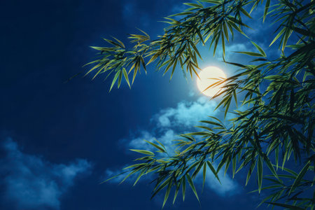 Whispered serenity envelops a tranquil night as slender bamboo tips form dark outlines beneath a luminous moon, softly drifting clouds enhancing the calm ambiance.の写真素材