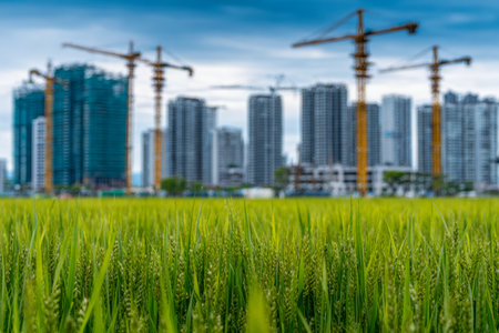 Vibrant green paddies stretch across the front, while towering cranes and glass skyscrapers rise behind, blending rural serenity with urban progress beneath a moody sky.の写真素材