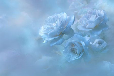 Gentle pale blue blossoms nestled together, their subtle hues fading into a hazy, ethereal backdrop that inspires peace and serene floral elegance.の写真素材