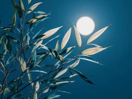 Gentle moonlit greenery bask in a calm night sky, evoking peace and natural beauty through a harmonious blend of light and shadow.の写真素材