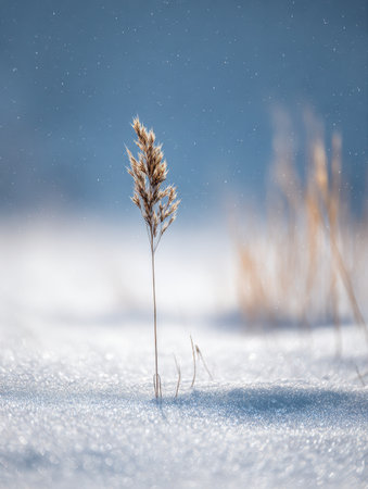 Upscaled with Gigapixel v1.0.2. 928x1232 => 4176x5544 (4.5x) @ 762 ppi Model: Standard V2, denoise: 0.01, sharpen: 0.03, decompression: 0.03の写真素材