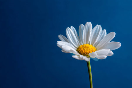 Upscaled with Gigapixel v1.0.2. 1344x896 => 6048x4032 (4.5x) @ 762 ppi Model: Standard V2, denoise:...