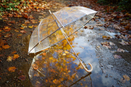 A clear umbrella lies sideways in a rain-filled pool along a path shaded by fiery autumn foliage, perfectly mirroring the vivid season's palette on a chilly, damp daの写真素材