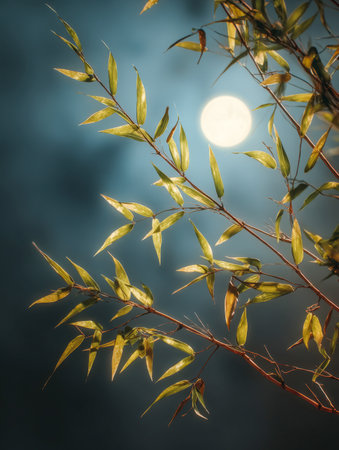 Gentle moonbeams cast a subtle glow on slim bamboo fronds, set amidst a hushed, misty sky that evokes calmness and harmony in a quiet, natural setting.の写真素材