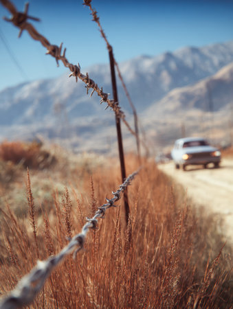 Upscaled with Gigapixel v1.0.2. 928x1232 => 4176x5544 (4.5x) @ 762 ppi Model: Standard V2, denoise: 0.01, sharpen: 0.03, decompression: 0.03の写真素材