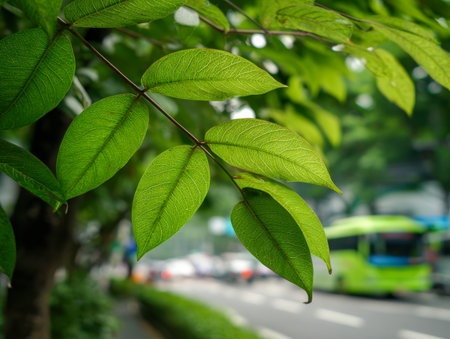 Lush, detailed foliage dangles from a branch, showing intricate vein patterns, set against a dynamic cityscape with streaked vehicles and distant trees.の写真素材
