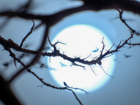 Upscaled with Gigapixel v1.0.2. 1232x928 => 5544x4176 (4.5x) @ 762 ppi Model: Standard V2, denoise: 0.01, sharpen: 0.03, decompression: 0.03の写真素材