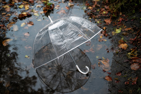 A clear umbrella rests open in a shallow puddle, surrounded by vibrant fall foliage, capturing a peaceful moment amid gentle rain in a serene outdoor landscape.の写真素材