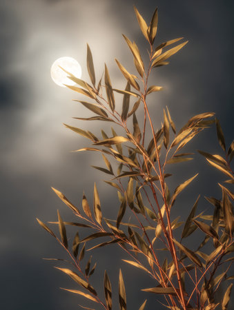 Tall, golden foliage softly glows beneath a cloudy dusk sky, with a luminous full moon casting a calm, serene atmosphere over the tranquil landscape.の写真素材