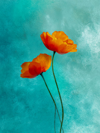 Two lively orange poppies with slender, silky petals rise prominently amid a rich, textured turquoise backdrop, creating a striking contrast perfect for creative proの写真素材