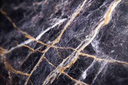 A rich, deep-hued marble surface showing delicate natural veins in striking gold and white, ideal for sophisticated interior accents and luxurious backdrops.の写真素材
