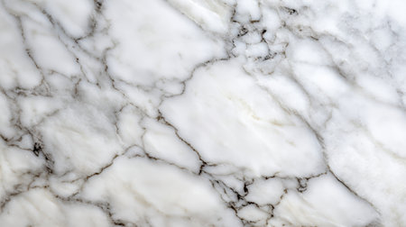 A sophisticated white marble slab featuring bold, organic dark veining, highlighting its rich texture and luxurious appeal for upscale interiors and artistic installationの写真素材
