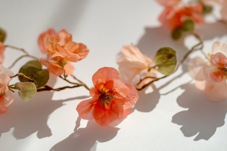 Elegant faux blossoms in muted orange and peach tones rest softly on a white backdrop, illuminated by daylight, perfect for inspiring floral arrangement ideas.の写真素材