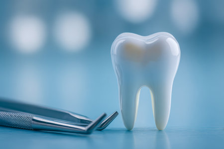 A polished dental replica positioned beside sleek metallic instruments on a tranquil blue surface, illuminated by gentle reflections enhancing a professional oral heの写真素材