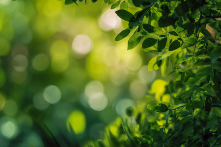 Lush greenery bathed in gentle sunlight, with leaves softly blurred in the background, evoking serenity and the tranquil beauty of nature?s quiet moments.の写真素材