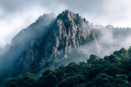A solitary mountain crest emerges from a lush forest under swirling clouds, evoking tranquility and wonder in a captivating, atmospheric wilderness setting.の写真素材