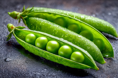Freshly split pea pods showcase luminous, dew-kissed peas against a rugged dark background, evoking freshness and the purity of farm-to-table nourishment.の写真素材
