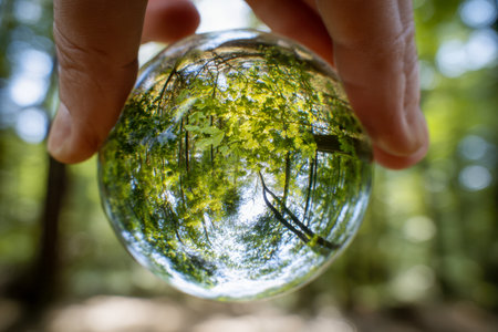 A hand gently cradles a clear glass orb capturing lush forest foliage and bright sunlight, set against a softly blurred natural setting for eco-conscious messaging.の写真素材