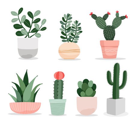 A collection of cute cactus and succulent plant in pots indoor plants in flat style vector illustration.のイラスト素材