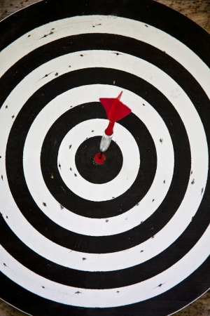 Bulls eyeの写真素材