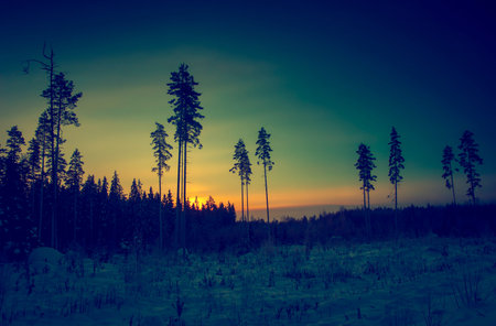 Beautiful nature background image vintage editing styleの写真素材