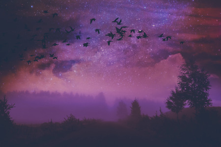 Night nature landscape background sceneの写真素材