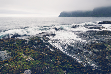 Waves crashing to coast at misty day at Senja island, Norway.の写真素材