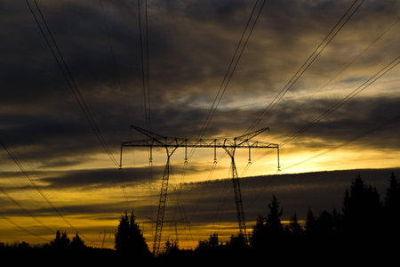 Power lines and a golden sky 