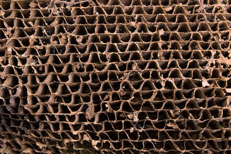 Wave shaped old isolation texture.の写真素材