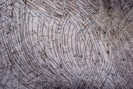 Unreal nature made cracks tears in plastic の写真素材