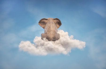 Elephant sitting on a cloud in the sky . Dreaming and aspirations concept. This is a 3d render...
