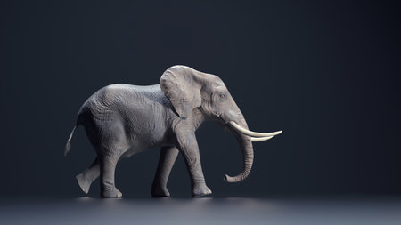 Elephant on dark background. This is a 3d render illustrationの写真素材