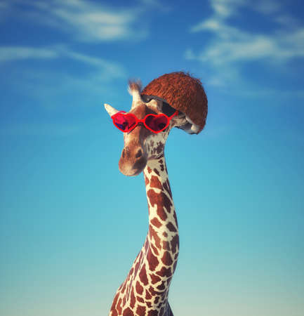 Giraffe with coconut hat and glasses. Fashion and travel concept. This is 3d render illustrationの写真素材