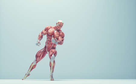 Male muscular system posing on background. Fitness and healthy lifestyle concept. This is a 3d render illustrationの写真素材