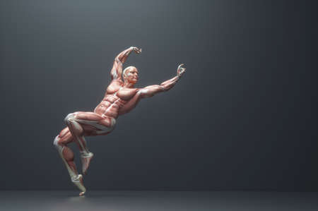 Male muscular system posing on background. Fitness and healthy lifestyle concept. This is a 3d render illustrationの写真素材