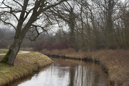 Walking path along the bank of a curvy river in a recreation park