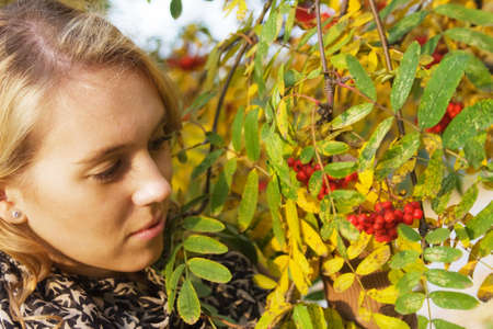Young blond woman touching ashberries in an autumn parkの写真素材