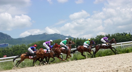PYATIGORSK, RUSSIA - JULY 4: Jockeys (L - R) Hatkov, Hamidulin, Aituganov,Mardanov  and Guseinov race for the prize of the Oktava on July 4, 2011 in Pyatigorsk, Caucasus, Russia. Image ID: 79956127 のeditorial素材