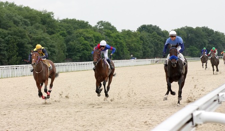 PYATIGORSK, RUSSIA - JULY 10: Jockeys (L - R) Timur Guseinov,RinatHamidulin and Rustam Pangokov race for the prize of Anilina hippodroma on July 10, 2011, in Pyatigorsk, Caucasus, Russia. のeditorial素材